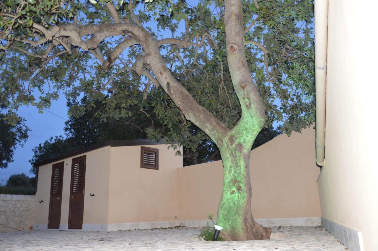 Il Carrubo Holiday House Scicli Zewnętrze zdjęcie